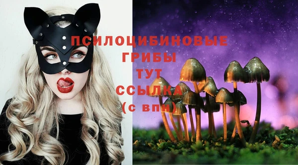 прущие крисы Алзамай