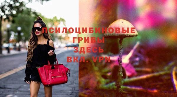 ПСИЛОЦИБИНОВЫЕ ГРИБЫ Алексин