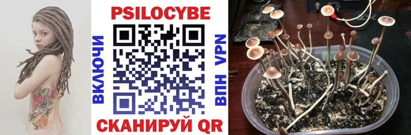 Галлюциногенные грибы Magic Shrooms купить наркотики сайты Талица